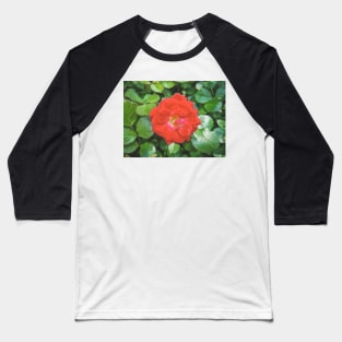 Red Rose Baseball T-Shirt